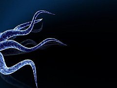 Cool - 3D Effects Wallpapers - 1.1 Wallpaper 1600x1200